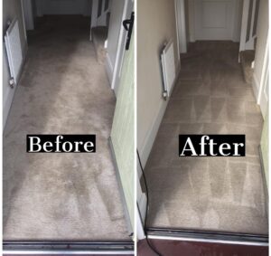 Carpet Cleaning services - Barnstaple, Exeter, North Devon, Bideford, Braunton, South Molton