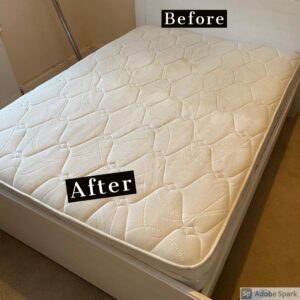 Professional mattress cleaning services - Barnstaple, Exeter, North Devon