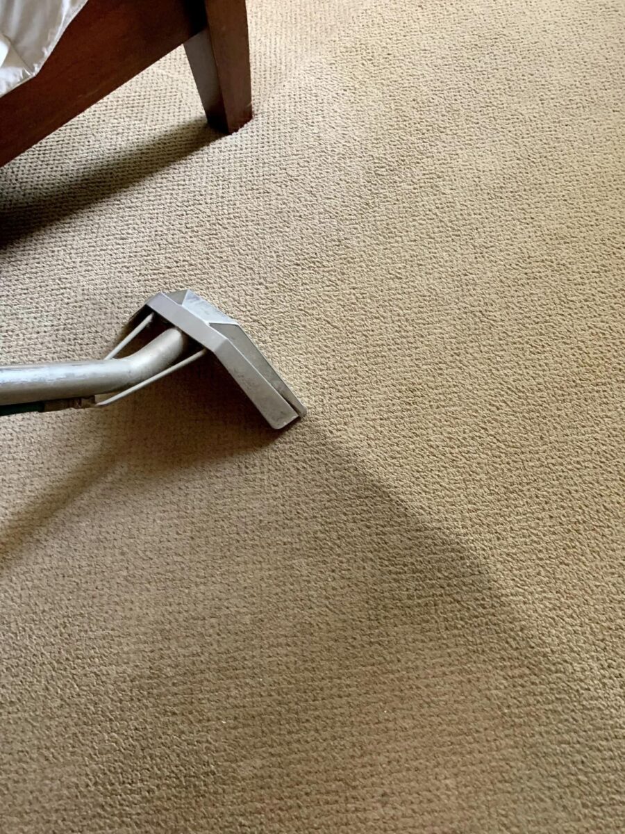 carpet cleaning